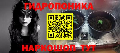 первитин Заводоуковск